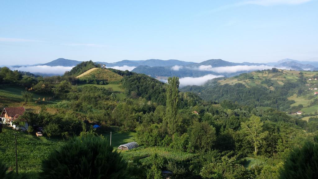 Lux Smestaj Ivanjicki Konaci Ivanjica Zimmer foto